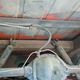 Illustration for article titled This Is What A Rust-Free International Scout Looks Like